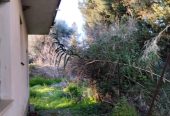 Πωλείται πέτρινη διώροφη κατοικία στη Λευκίμμη