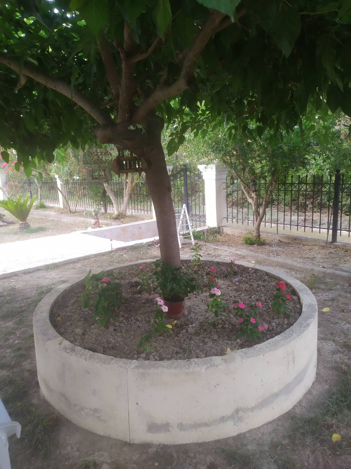 Πωλείται μονοκατοικία στη Λευκίμμη