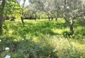 Πωλείται όμορφο οικόπεδο στο Κομπίτσι