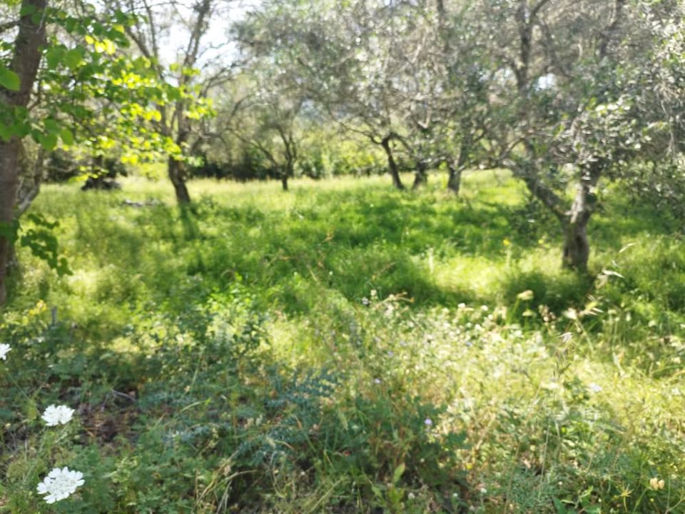 Πωλείται όμορφο οικόπεδο στο Κομπίτσι