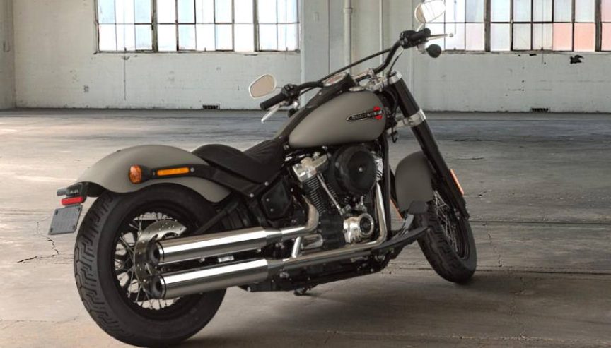 Harley slim 2017