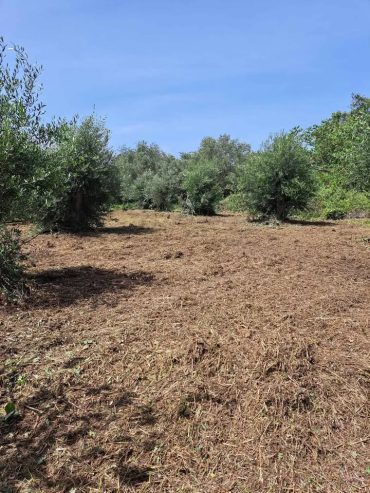 Πωλείται αγροτεμάχιο στη νότια Κέρκυρα