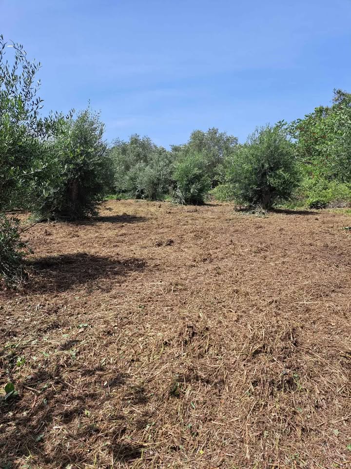 Πωλείται αγροτεμάχιο στη νότια Κέρκυρα