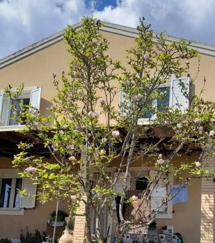 Πωλούνται 2 μονοκατοικίες Περιοχή Τρίκλινο Κέρκυρας