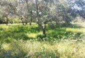 Πωλείται όμορφο οικόπεδο στο Κομπίτσι