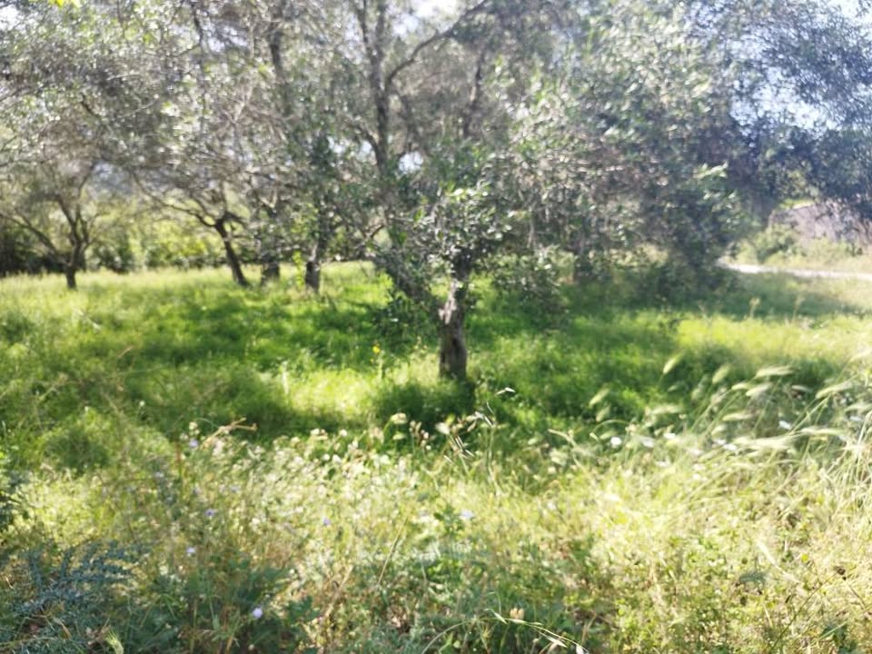 Πωλείται όμορφο οικόπεδο στο Κομπίτσι