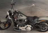 Harley slim 2017