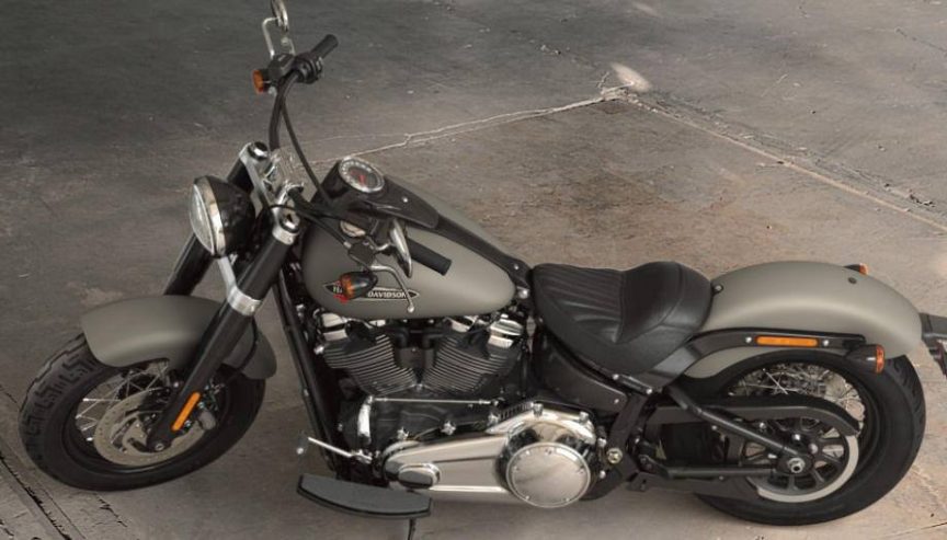 Harley slim 2017