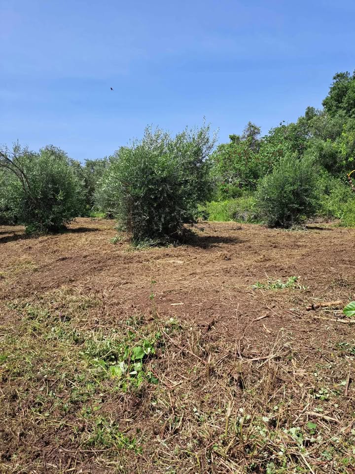 Πωλείται αγροτεμάχιο στη νότια Κέρκυρα