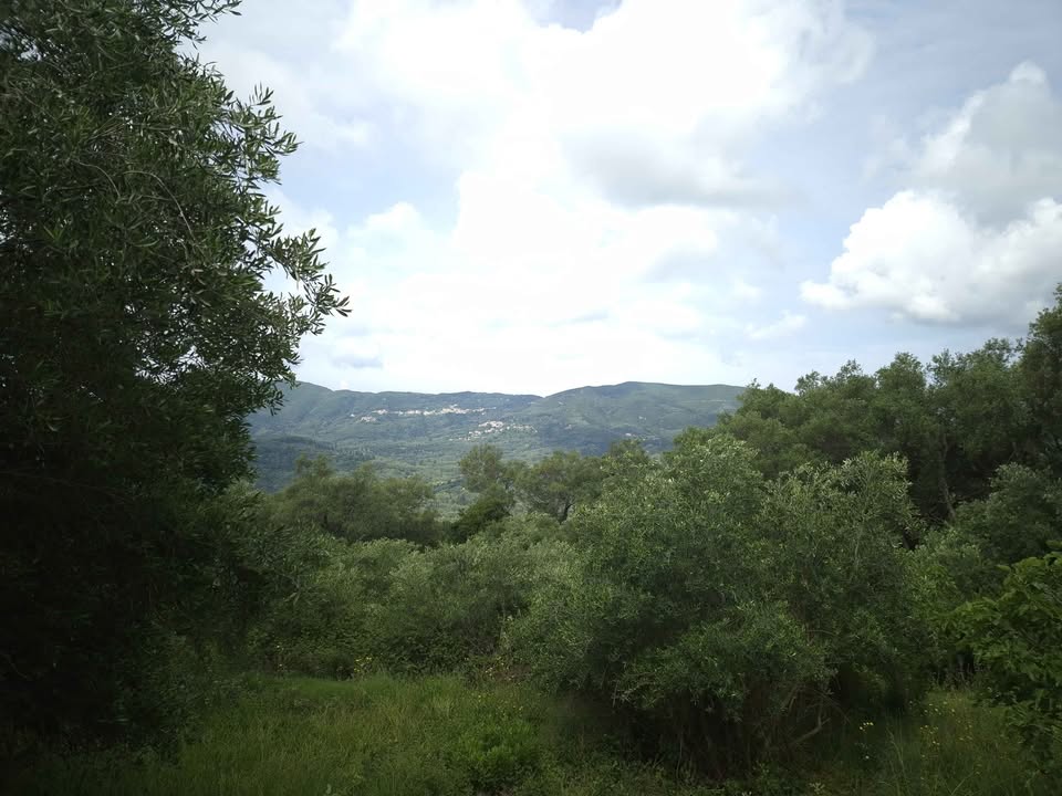 Προς πώληση, παλαιά μονοκατοικία