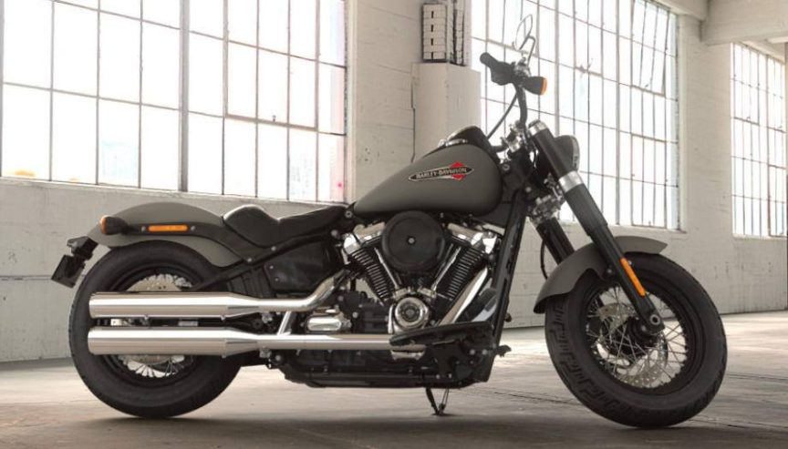 Harley slim 2017