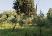 Πωλείται ισόγεια παλιά οικία 148 τμ Δουκάδες