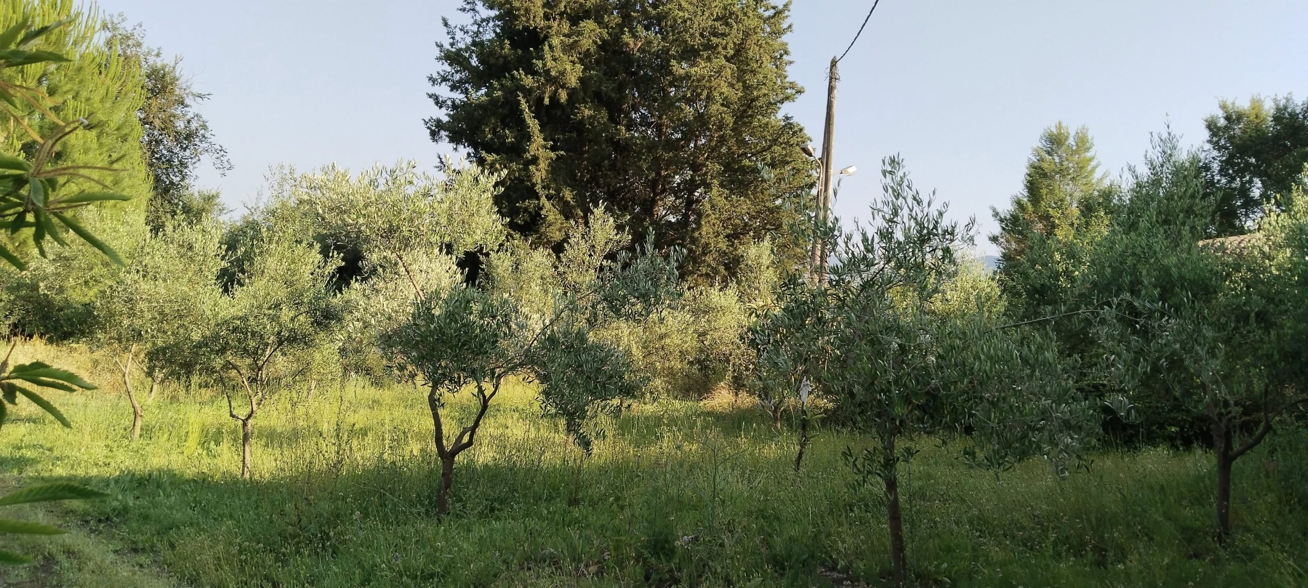 Πωλείται ισόγεια παλιά οικία 148 τμ Δουκάδες