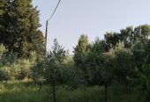 Πωλείται ισόγεια παλιά οικία 148 τμ Δουκάδες