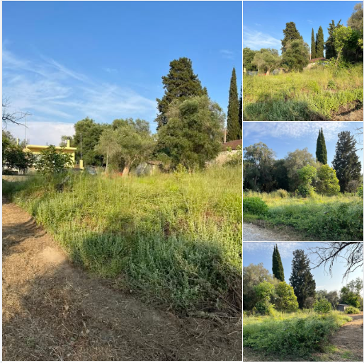 ΟΙΚΟΠΕΔΟ 300 τ.μ. – ΛΕΥΚΙΜΜΗ ΚΕΡΚΥΡΑΣ