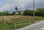Πωλείται οικόπεδο 2 στρέμματα ανάμεσα από Σιδαρι Λιβάδι Βελονάδες