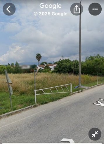Πωλείται οικόπεδο 2 στρέμματα ανάμεσα από Σιδαρι Λιβάδι Βελονάδες