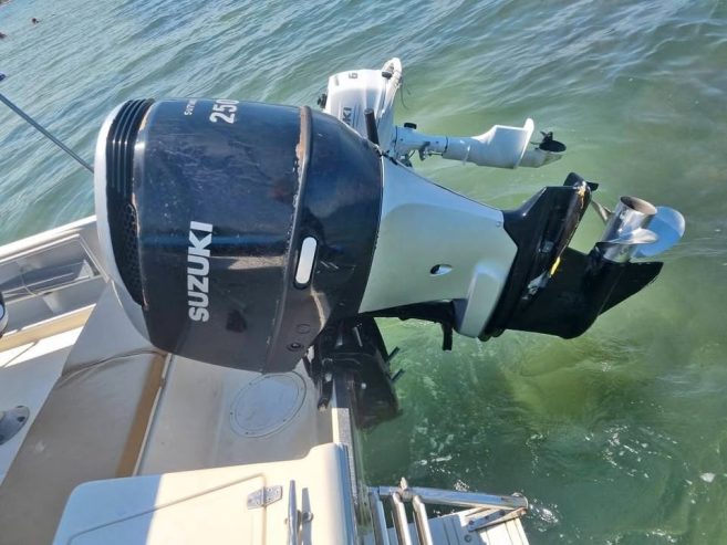 Suzuki 250hp 4t