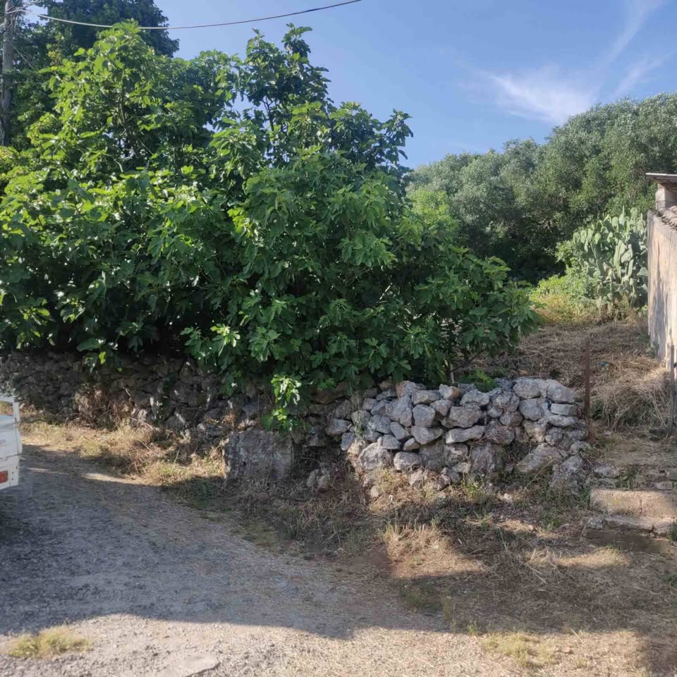 Πωλείται οικόπεδο στην περιοχή Σωκρακι – Land for Sale