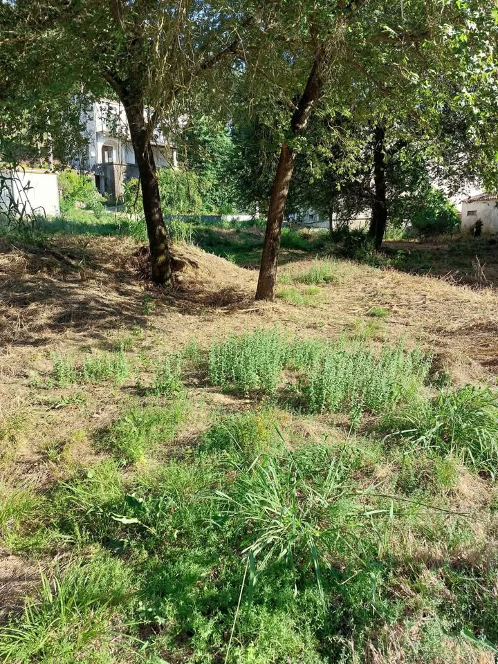 ΤΡΙΚΛΙΝΟ ΠΩΛΕΙΤΑΙ ΟΙΚΟΠΕΔΟ 700 ΤΜ ΕΝΤΟΣ ΟΙΚΙΣΜΟΥ