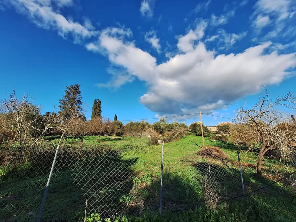 Πωλείται οικόπεδο 4000τμ