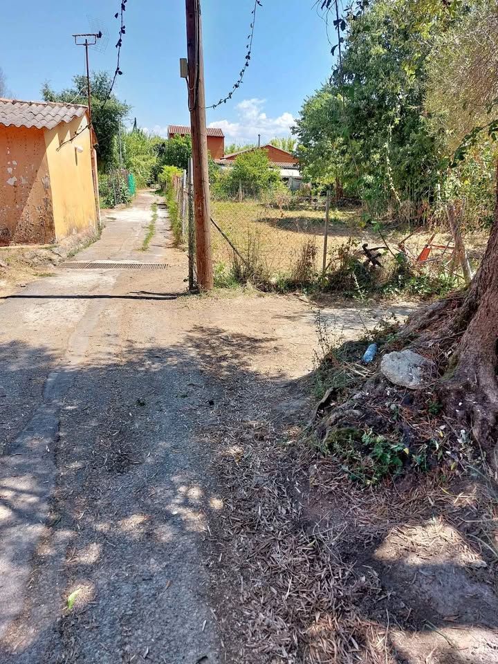 ΟΙΚΟΠΕΔΟ ΕΝΤΟΣ ΟΙΚΙΣΜΟΥ 485 ΤΜ