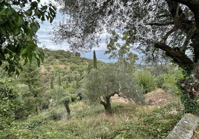 467939345_604672161994042_8028114198161854060_n