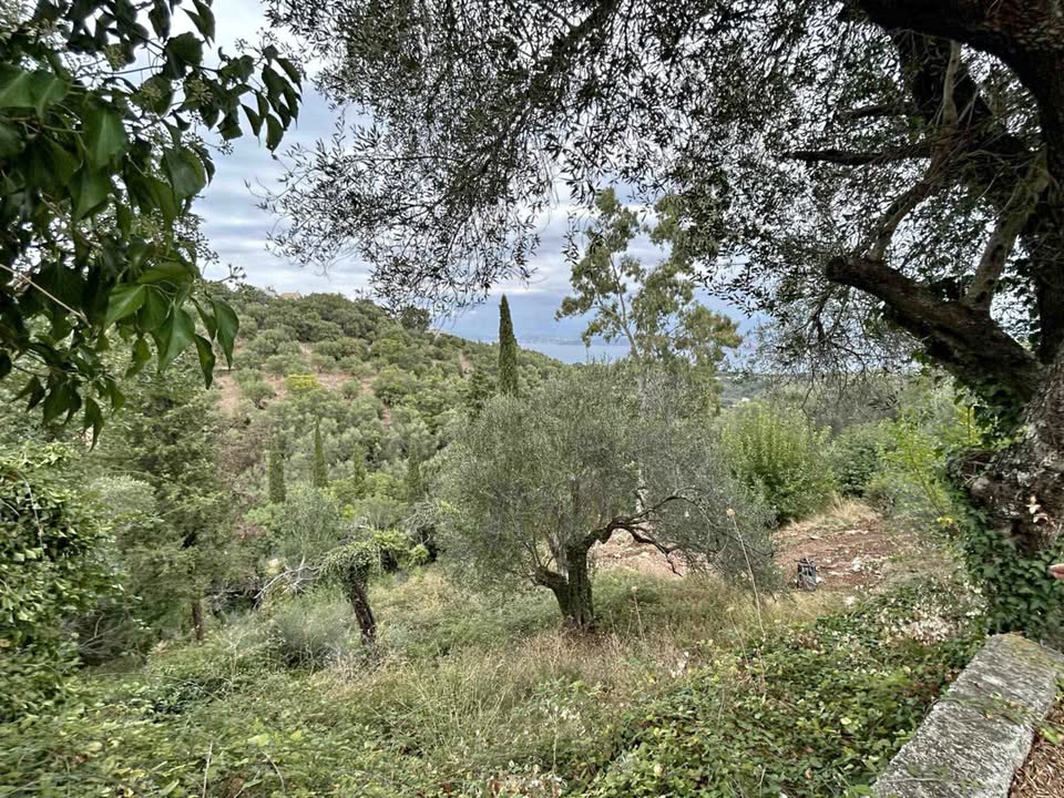 ΠΩΛΕΙΤΑΙ ΟΙΚΟΠΕΔΟ ΣΤΗΣ ΣΙΝΙΕΣ