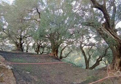 492234529_9639228146158448_8675662022872703041_n