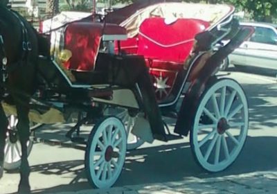 528701482_1323623315952832_3664585418759318622_n