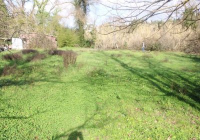 530686836_1418684362767032_1139694144146696996_n