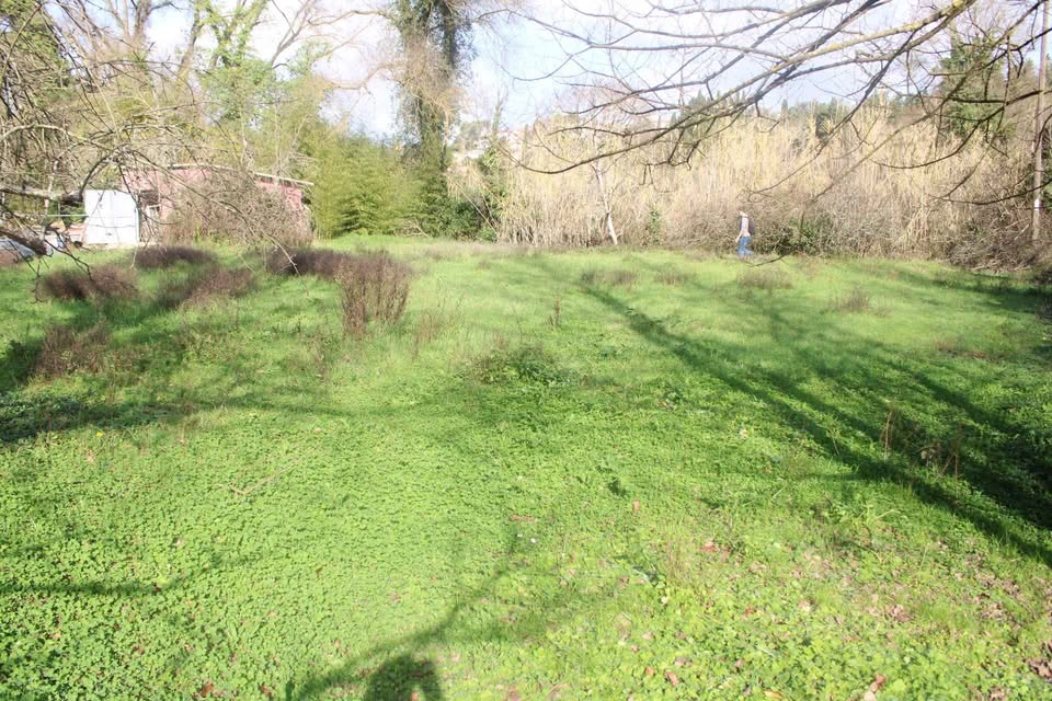 Αγροτεμάχιο 1000 τμ Παρελίων