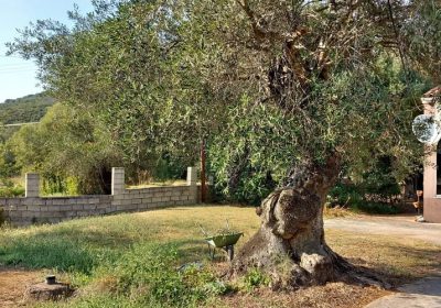 503978615_700002666099278_6302245088270117685_n