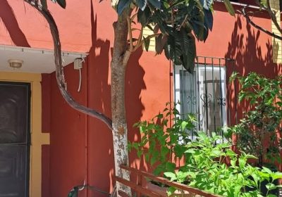 540470172_3690443297927772_6112589008231400538_n