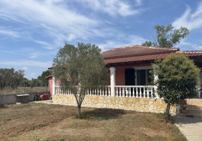 540660444_10163294750623390_3067296004622379395_n