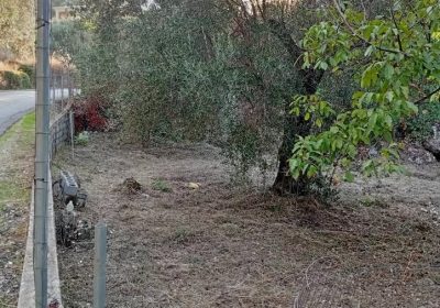 546985753_24556000340753789_9144517043532622079_n