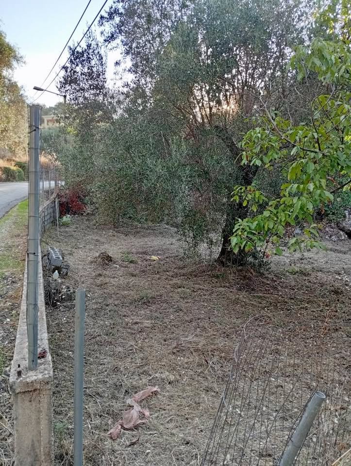 Πωλείται οικόπεδο δύο στρέμματα στην τοποθεσία Ρουμπακατικα στον Πρυνηλα Κέρκυρα