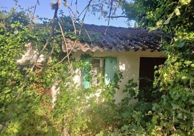 549361847_1824835791746386_4320522235656670175_n