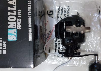 inbound2405743183355598978