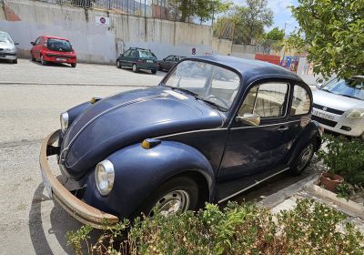 571826452_10240388264270549_4126393971349936467_n-1