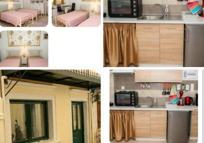 03fe6e2d-3328-44d6-ae6c-1a0f1a41971a