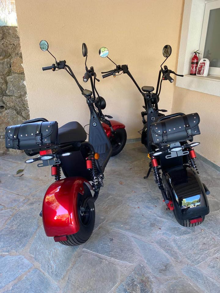 Electric Scooters