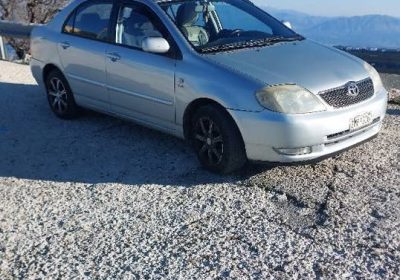 604688824_3382328415256685_4826923744761962038_n