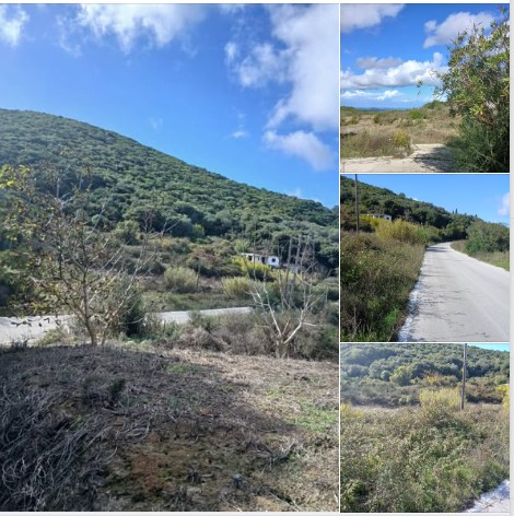 Αλειμματάδες της Βόρειας Κέρκυρας