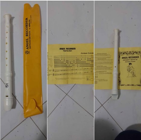 ΦΛΟΓΕΡΑ ΣΟΠΡΑΝΟ – ΑΜΕΤΑΧΕΙΡΙΣΤΗ