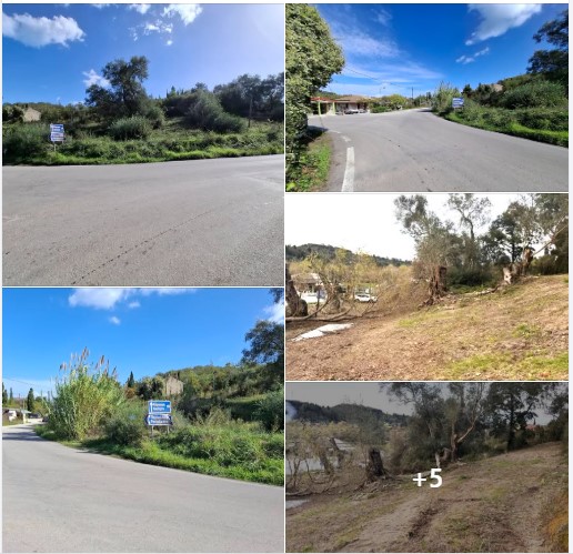 ΠΩΛΕΙΤΑΙ ΟΙΚΟΠΕΔΟ 2.316 Τ.Μ. – ΣΙΔΑΡΙ / ΠΕΡΟΥΛΑΔΕΣ