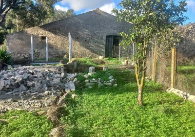 597283590_10240199819797350_7022826937147698630_n