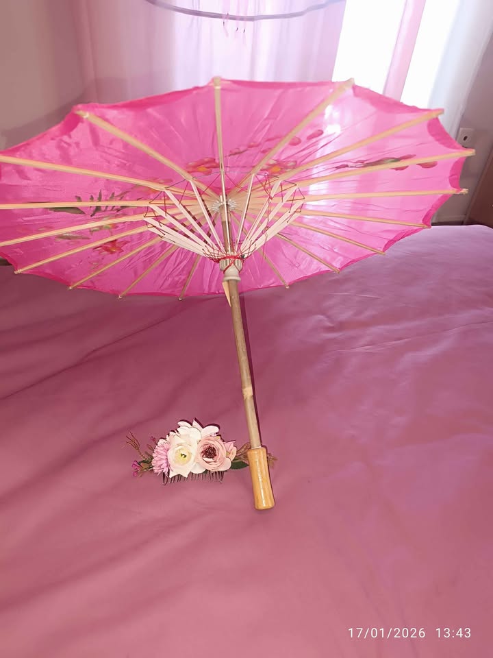 Στολή γκέισας