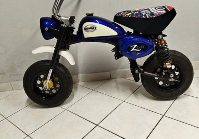 629069252_10231955653335048_3996426934813033215_n