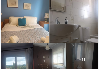 Screen-Shot-02-05-26-at-12.40-PM